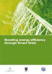 Boosting Energy Efficiency Through Smart Grids