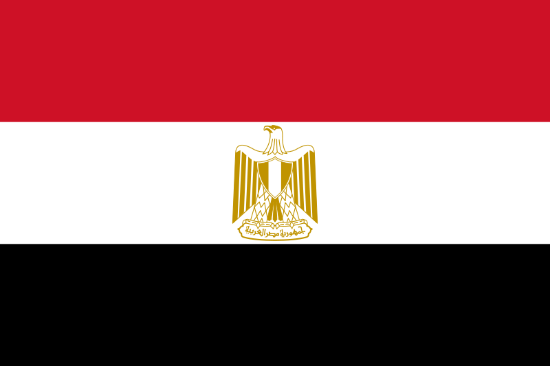 Flag_of_Egypt.svg.png