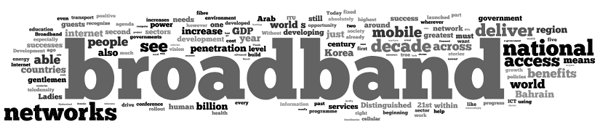 Cloud of Words: broadband, national access, mobile, decade, networks, increase, penetration,...