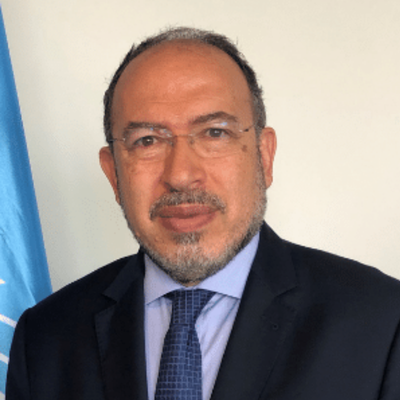 Photo of Tawfik Jelassi, candidate