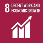 SDG Goal 8