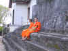 Monks 2.JPG (119722 bytes)