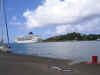 Cruise Ship.jpg (725951 bytes)