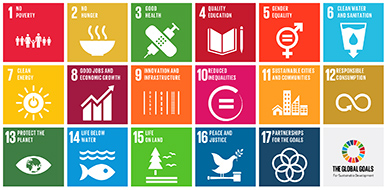 global-goals.jpg