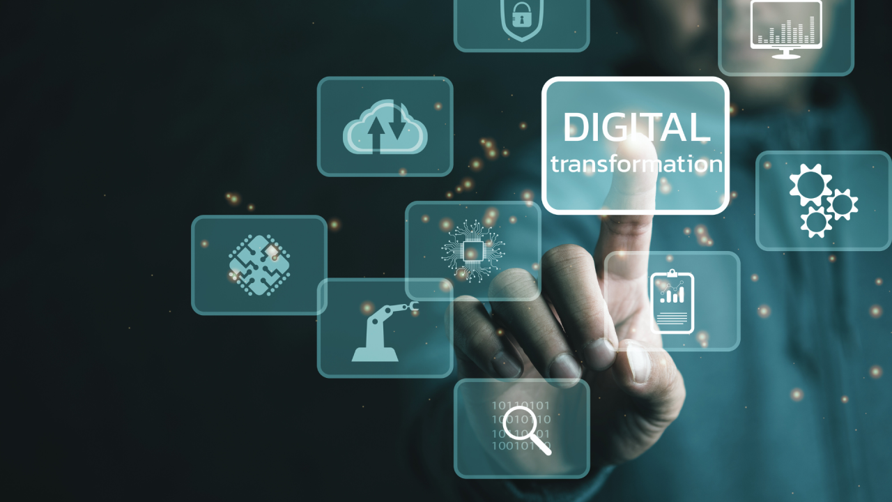 Digital Public Goods