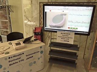 The Perinatal Telemedicine System on display