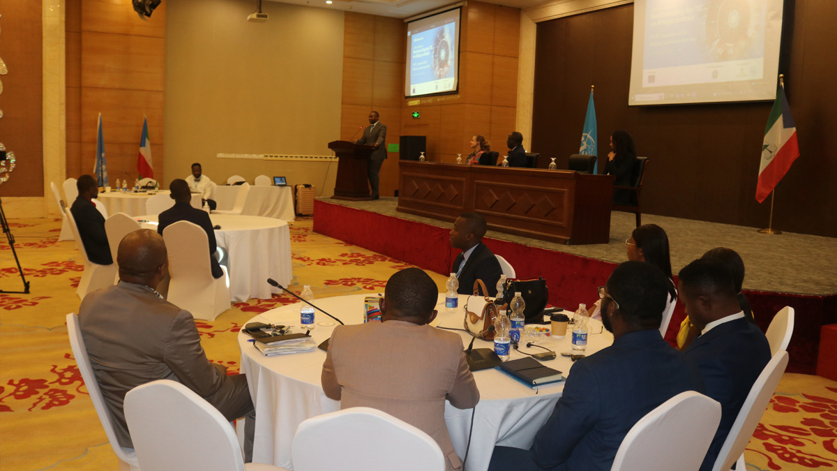 Stakeholder Workshop for Benchmarking of ICT in Central Africa 