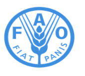 FAO.png