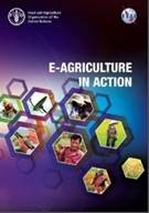 Eag in action.jpg