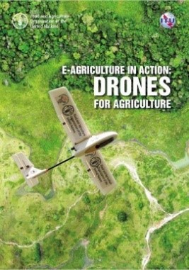 eag in action drones.jpg