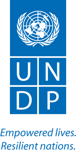 UNDP.png