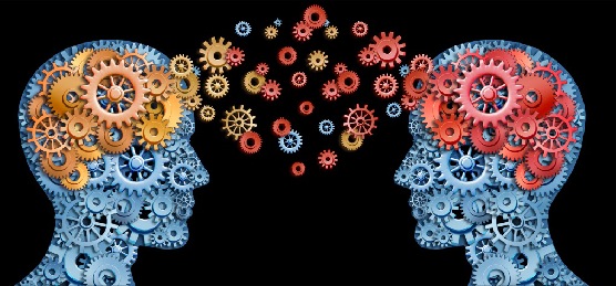 knowledge exchange.jpg