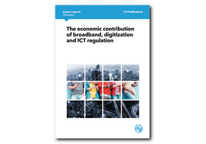 ICTs and Indian Economic Development: Economy, Work, Regulation