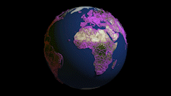terrestrial_fibers_globe_AdobeCreativeCloudExpress2.gif