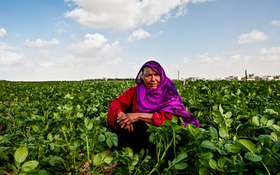 SDG  blogs