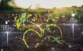 ai food security