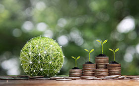 Green Globe with Network connection and stack of silver coins