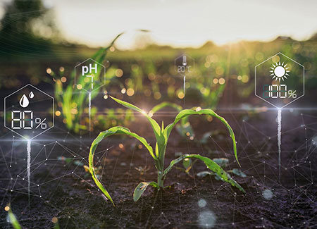 ai for food security
