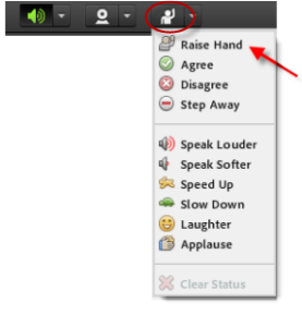 right raise hand.png