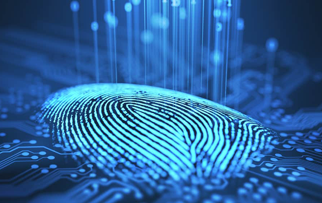 cybersecurity-backgrounder.png