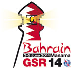GSR 13