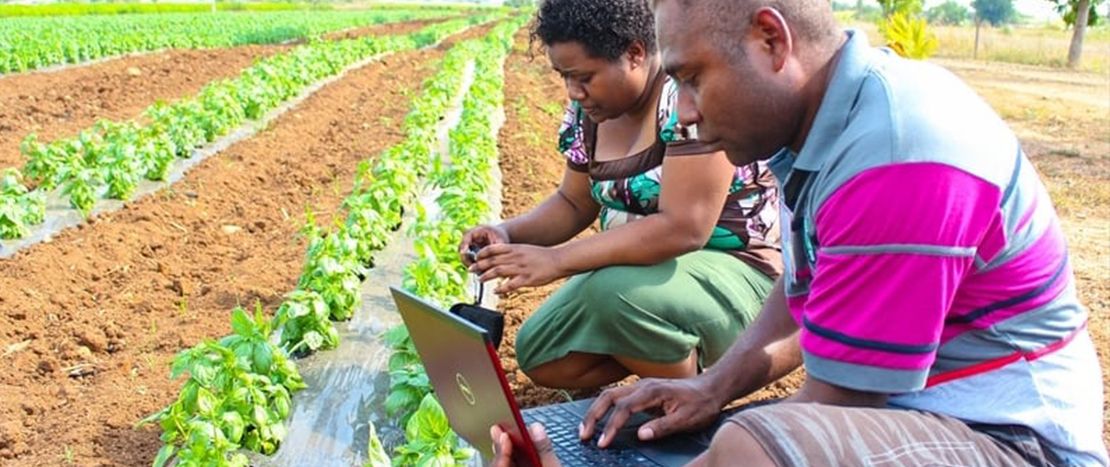 How AI can improve agriculture for better food security featured image