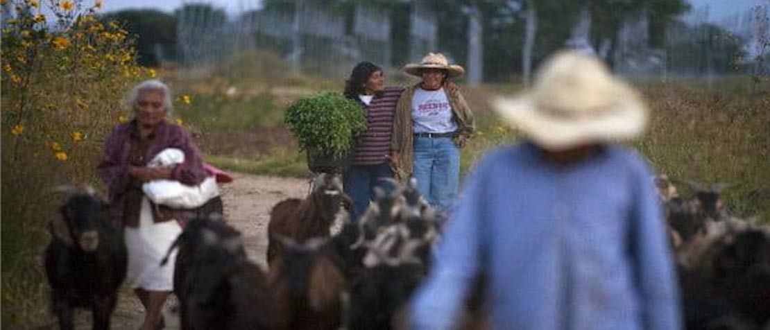 How Mexico seeks to connect its rural citizens better: Arturo Robles (VIDEO) featured image