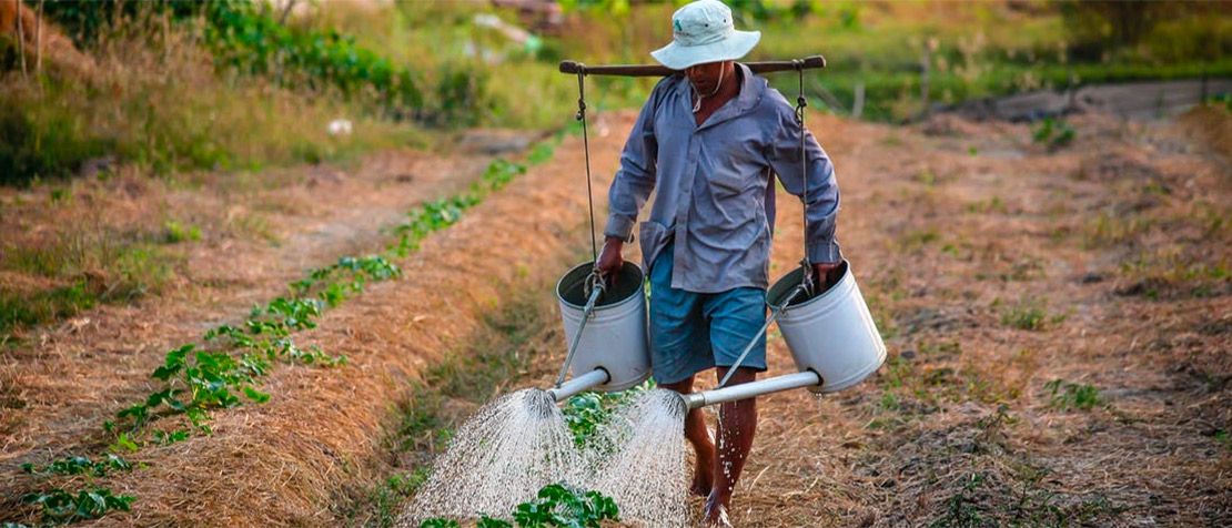 Sustainable agriculture: How tech can help tackle hunger featured image