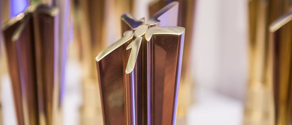 The best of the best in supporting SDGs with ICTs: Meet the 2020 WSIS Prizes winners featured image