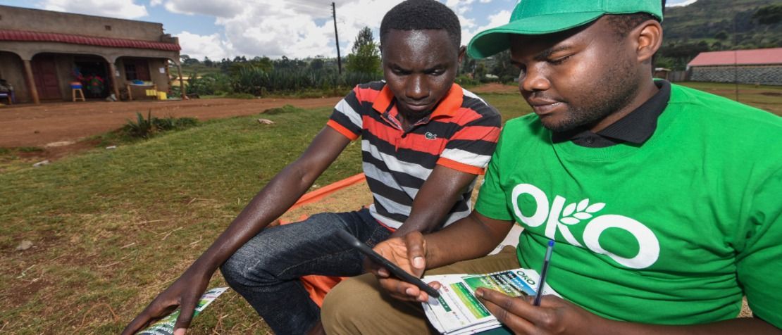 Meet OKO Finance: Building climate resilience through digital financial inclusion in Africa featured image