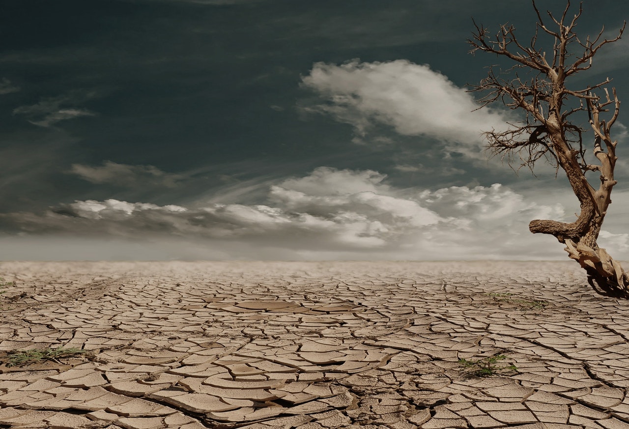 Detecting drought with data and AI featured image