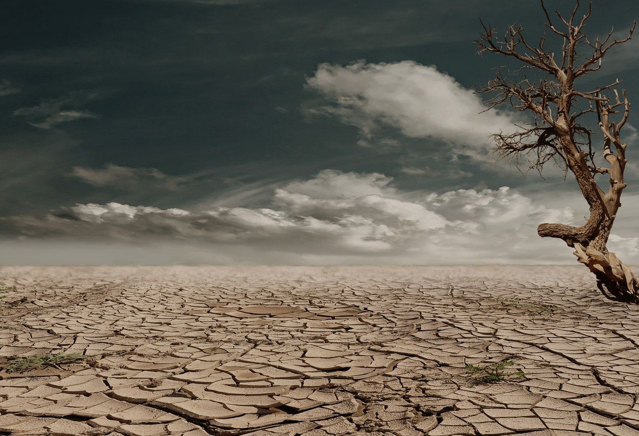 Detecting drought with data and AI featured image