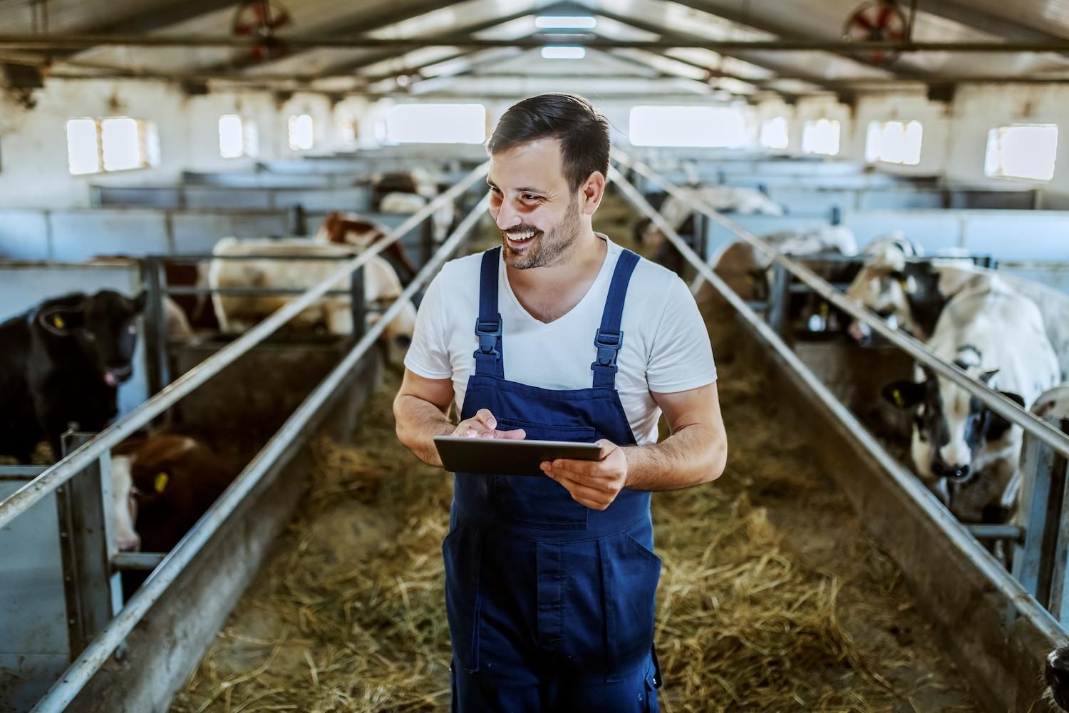 Cultivating tech talent in rural Europe featured image
