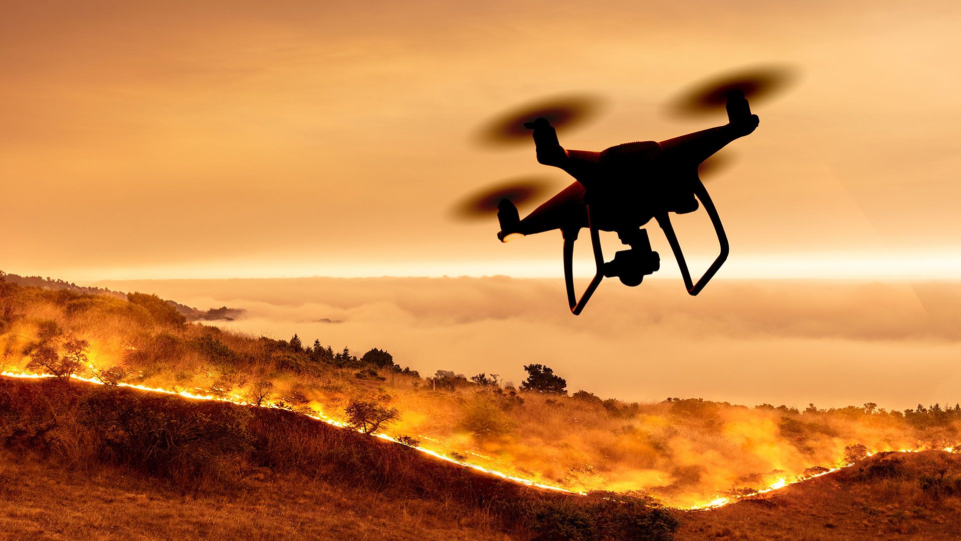 AI, standards, and future disaster resilience featured image