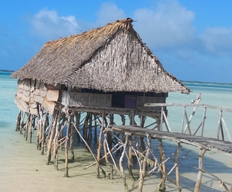 Learn more about Early Warnings for All initiatives in Asia and the Pacific