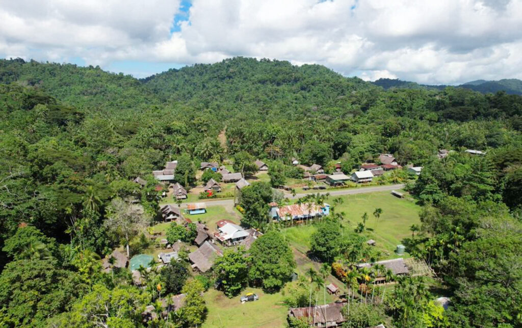 modern agriculture farming practices in Papua New Guinea