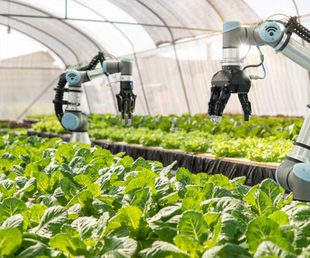 Digital Agriculture Solutions Forum