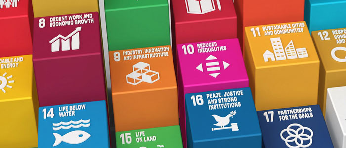  Innovation and Entrepreneurship Alliance for Digital Development