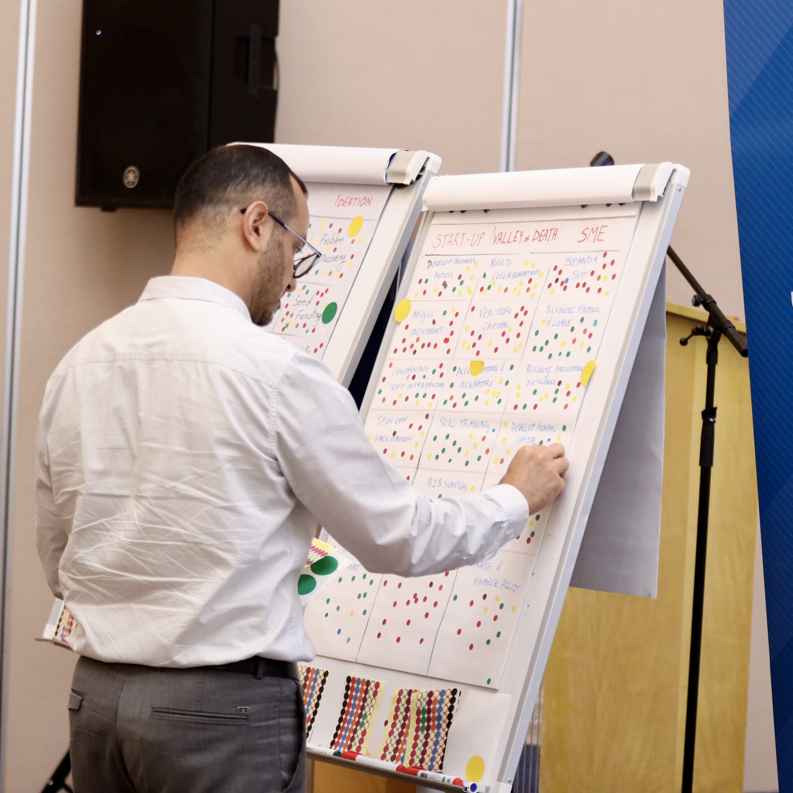 Digital Innovation Profiles / Strategies and Roadmaps