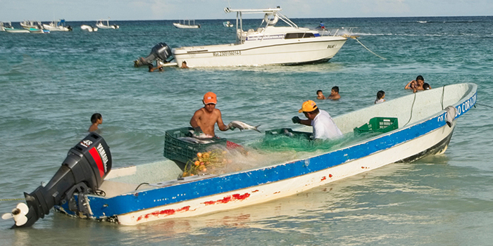 Smart Seas project for Caribbean Small-Scale Fishers (Barbados, Grenada, St. Vincent and the Grenadines, Trinidad and Tobago)