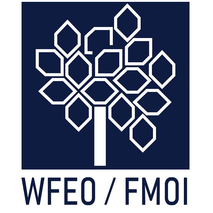 World Federation of Engineering Organization (France)