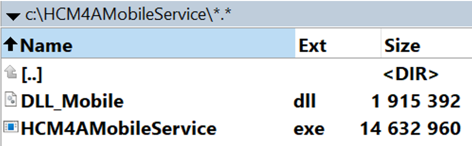 Combined DLL and EXE
