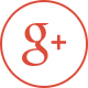 google+ icon
