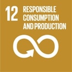 Goal 12: Ensure sustainable consumption and production patterns logo