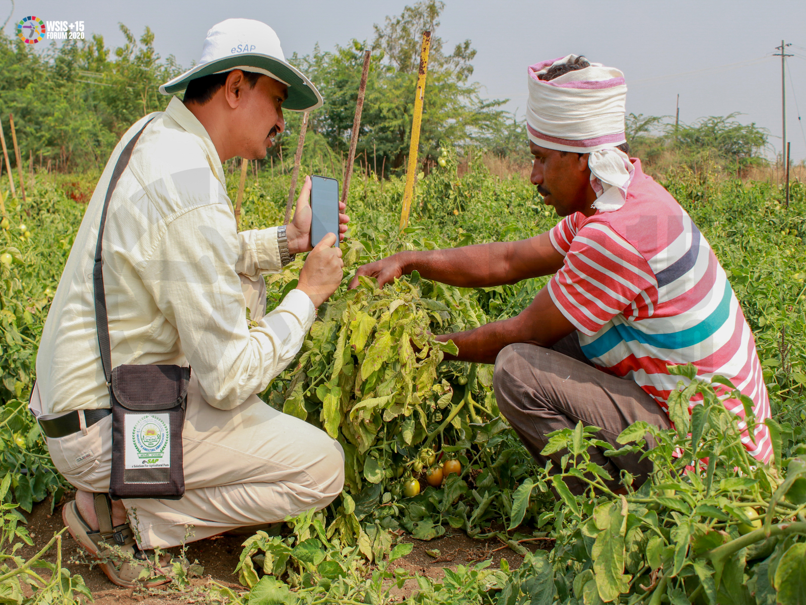 eSAP Technology - A Farmer's Friend
