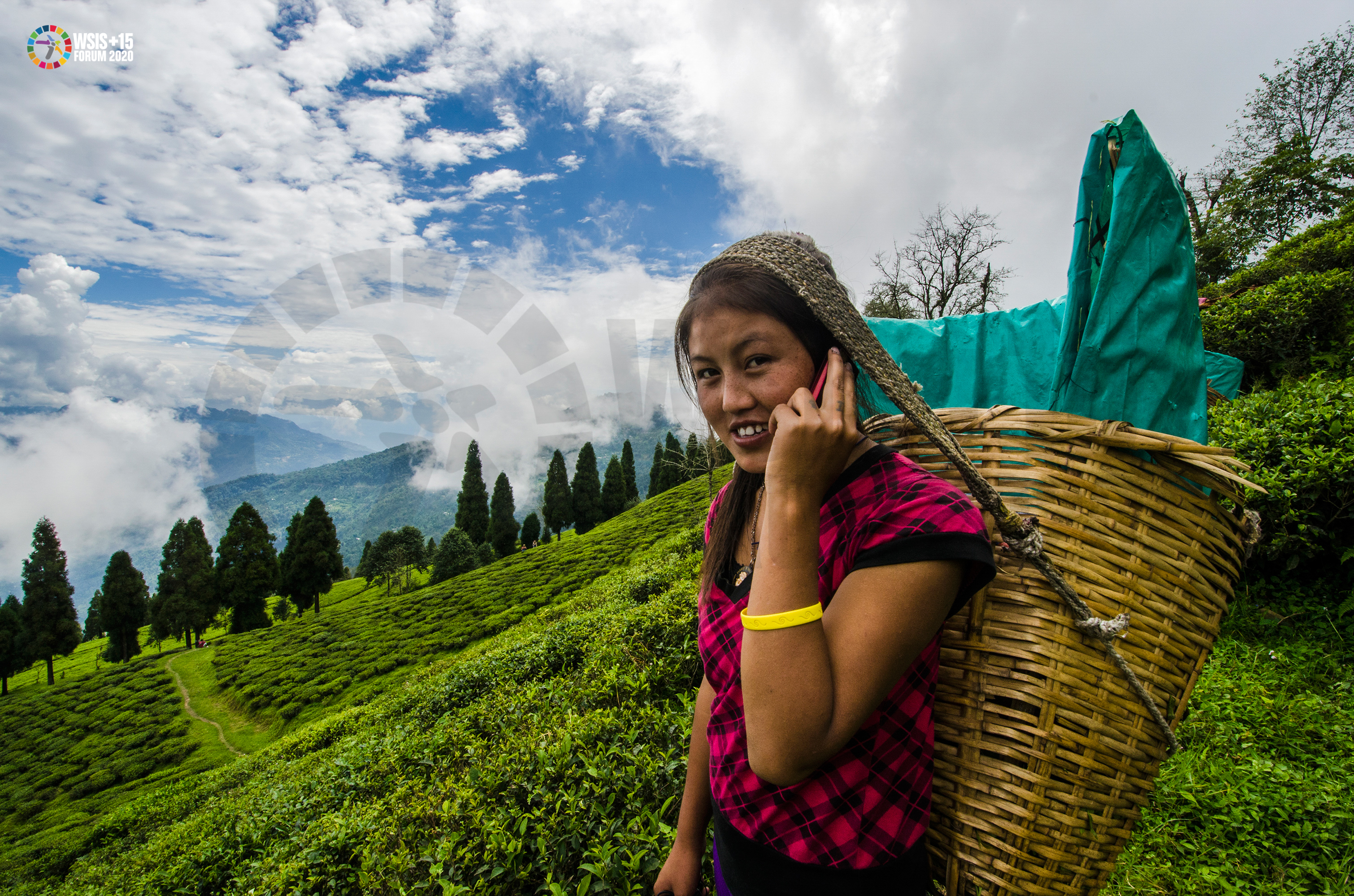 confident tea-garden worker