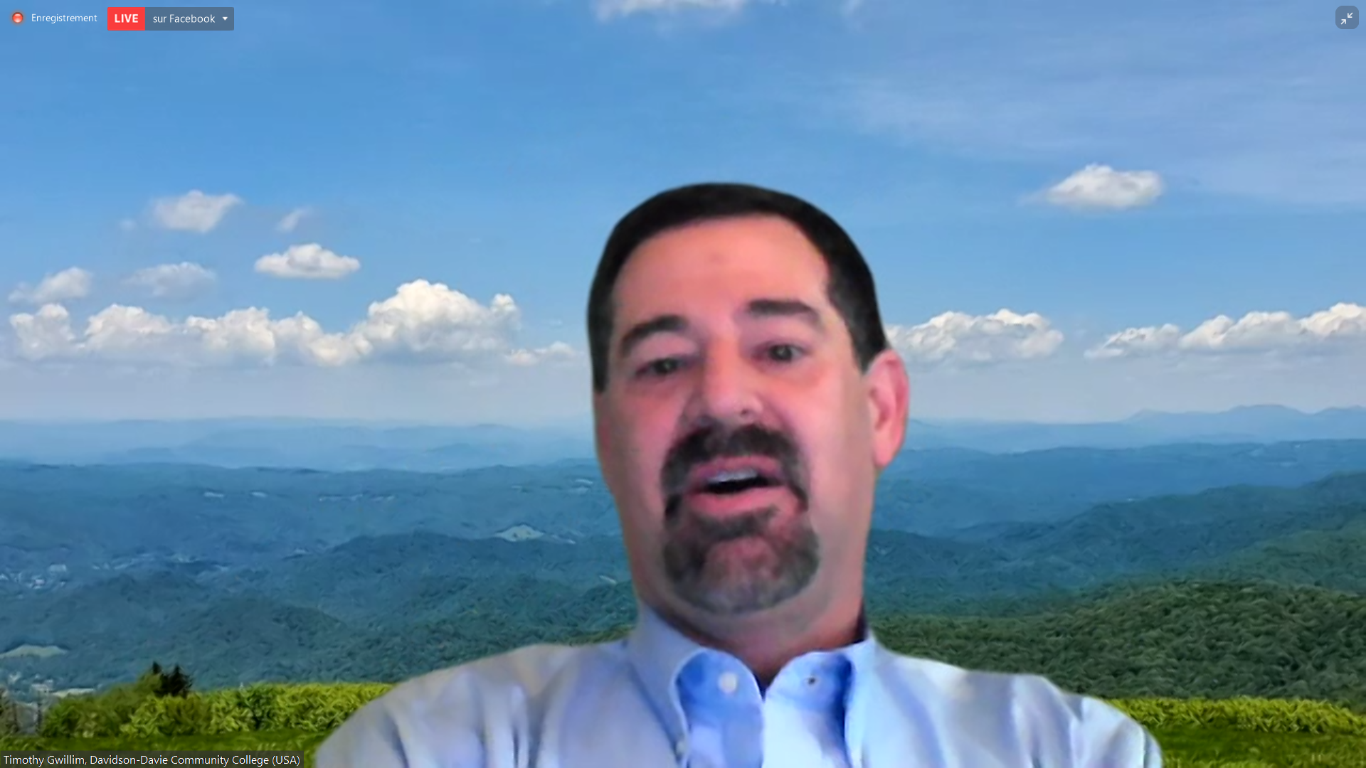 Virtual Exchanges as an Alternative and Additional Form of Academic Mobility_5