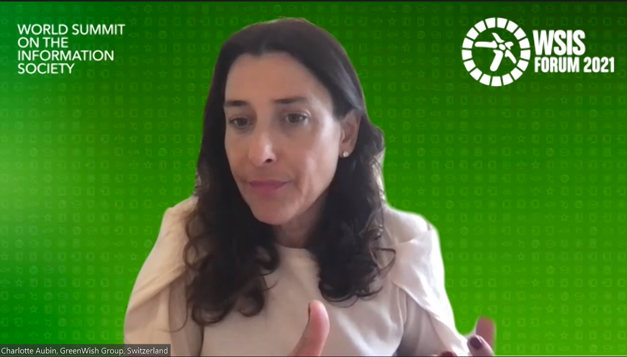 WSIS ALFM C2: Infrastructure - Roundtable on Innovative investment and  financing models for Last Mile Internet Connectivity Infrastructure_7