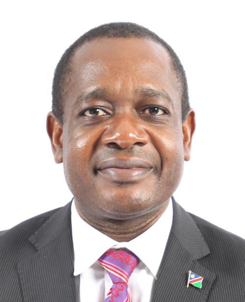 H.E. Dr. Peya Mushelenga