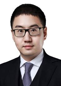 Prof. Dr Yifan Yang